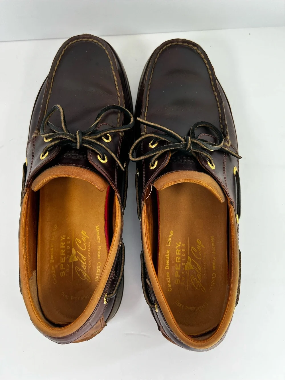 Sperry elevate your